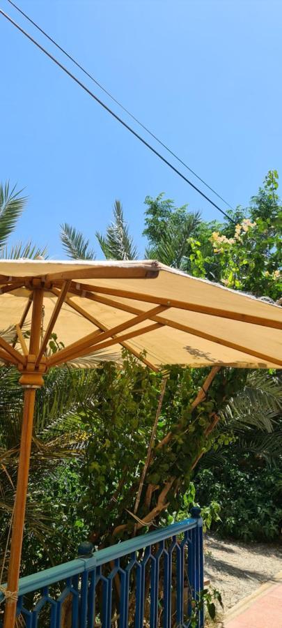 L'Hirondelle De Kelibia : Chez Amou Hotel Exterior foto